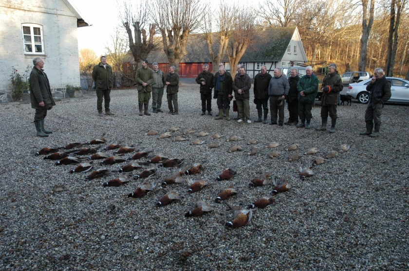 jagt11.jpg