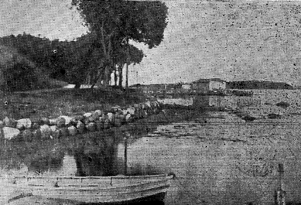 Vejen til Lilleø kruuse_billed5.jpg